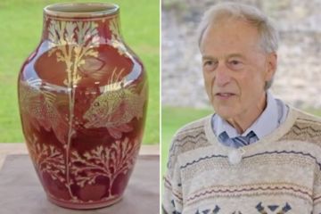 Antiquitäten-Roadshow-Gast fassungslos, nachdem er den Wert einer Vase im Wert von 1 £ erfuhr, die er fand