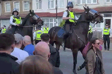 Fans sagen dasselbe wie West Ham-Anhänger, die von POLICE HORSE ausgeschaltet wurden