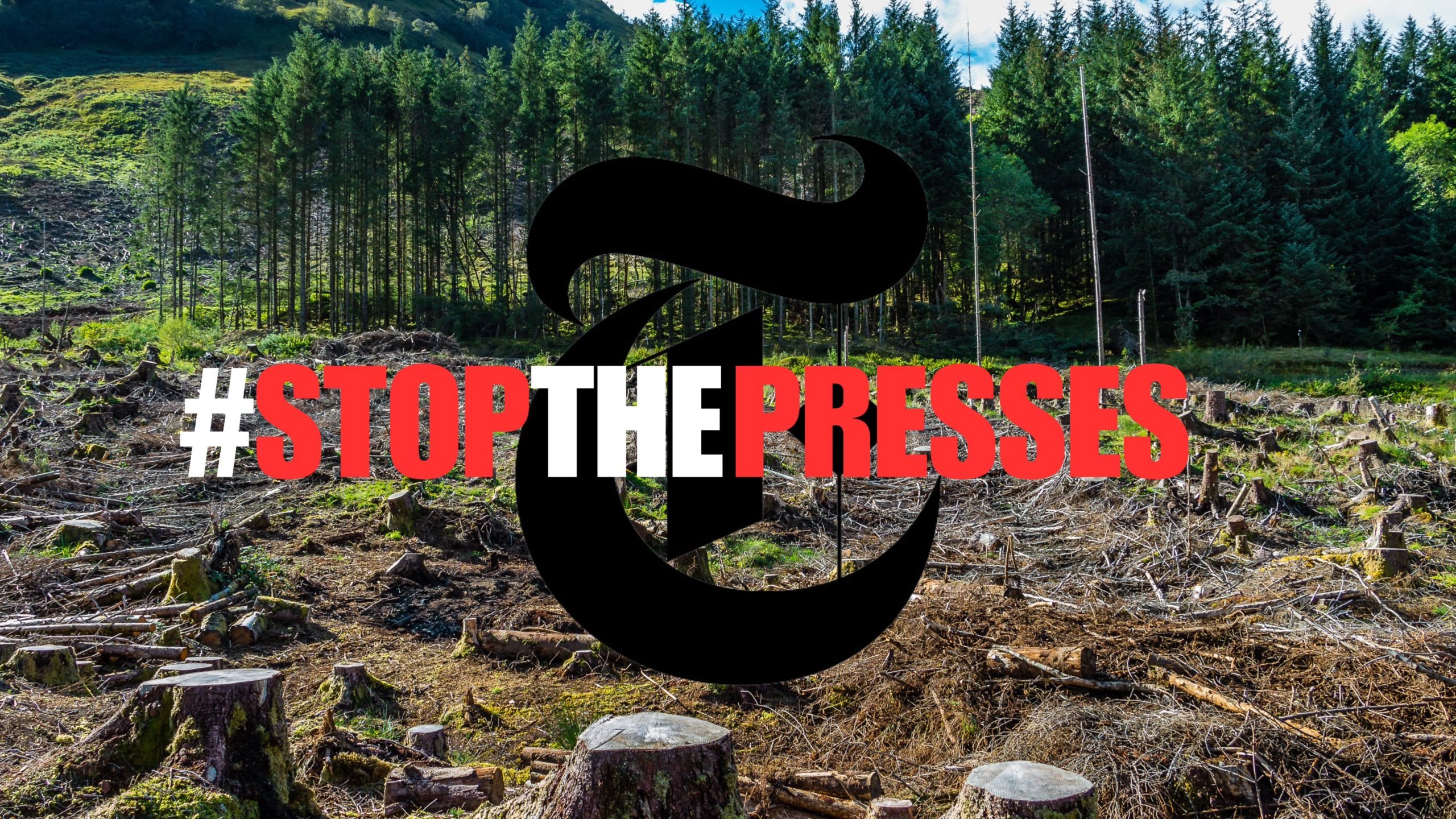Stoppt die Presse: Die Kritik an der New York Times nimmt zu, da die Zeitung beschuldigt wird, jährlich 59 Millionen Bäume zu töten