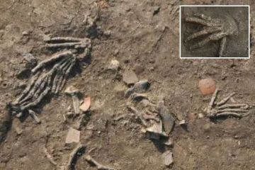 Abgetrennte HÄNDE im alten Palast gefunden, als „Feinde LEBENDIG zerstückelt wurden“  