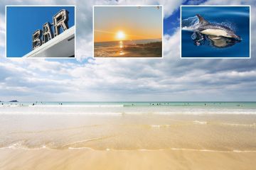 Strandbar mit perfekten Sonnenuntergängen, wo Sie Delfine bei einem Pint beobachten können