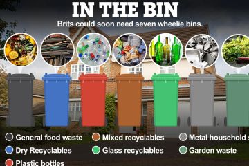 Briten könnten gezwungen sein, in nur wenigen Wochen SIEBEN verschiedene Mülleimer zu benutzen