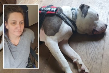 Ich verlor den Arm bei einem Angriff des RSPCA-Rettungshundes, den die Wohltätigkeitsorganisation KNEW zuvor angegriffen hatte
