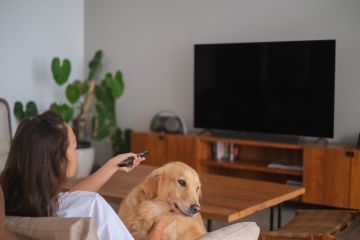 Von einem Hund, der den Fernseher anbellt, bis hin zu Hamsterheimen – Ihre Fragen zu Haustieren werden beantwortet