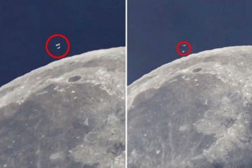 „UFO“ wurde auf der anderen Seite des Mondes in einem Wildvideo gesichtet, das am helllichten Tag aufgenommen wurde
