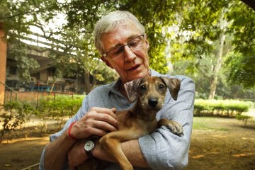 Riesiger ITV-Star wird Paul O'Grady in „For the Love Of Dogs“ ersetzen