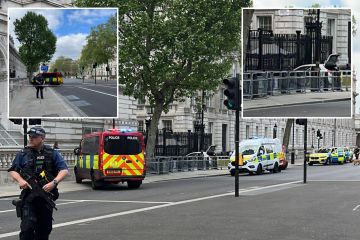 Mann verhaftet, nachdem ein Auto gegen die Tore der Downing Street prallte und die Sperrung von No10 auslöste