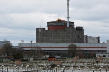 Europas größtes Atomkraftwerk ist innerhalb von TAGEN vom Netz gegangen und droht einer Kernschmelze