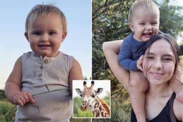 Mein Baby wurde von einer Giraffe getötet – ich war gelähmt, als ich versuchte, es zu beschützen