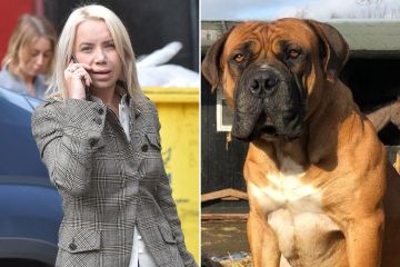 Hundebesitzer vor Gericht, nachdem Haustier „Frau misshandelt“ und sich dann „als Opfer ausgegeben“ hat