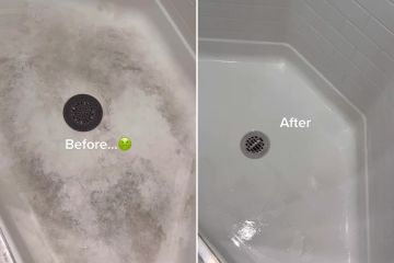 Ich bin ein Reinigungsfan und habe mein schmutziges Bad wieder zum Glänzen gebracht, ohne dass Bleichmittel benötigt werden