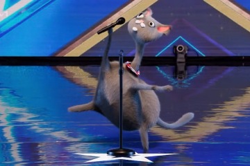 BGT-Zuschauer sind überzeugt, dass der berühmte Sänger hinter der „bizarren“ CGI-Katze Noodle steckt