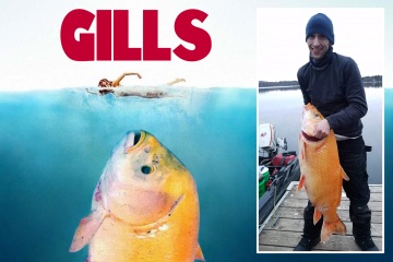 Fischer angelt den „größten Goldfisch der Welt“ – einen 100 Jahre alten 38-Pfund-Mutanten
