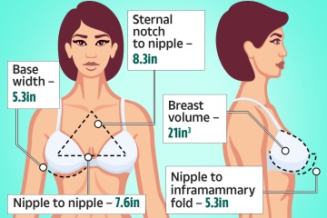 Wissenschaftler haben die Formel für „perfekte Brüste“ geknackt, und dabei kommt es nicht nur auf die Größe an