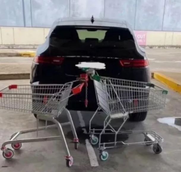 Eine Frau blockierte das Auto urkomischerweise nicht nur mit einem, sondern mit fünf Einkaufswagen