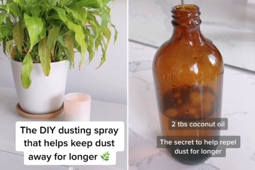 Mein aus drei Zutaten bestehendes DIY-Spray hält Ihr Zuhause länger staubfrei