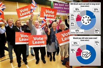 Die Brexit-Wähler unterstützen immer noch den Austritt und sind optimistisch, dass es klappen wird