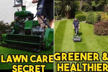 Ich bin Experte für Rasenpflege – hier ist das größte Geheimnis, wie Sie Ihren Garten gesund halten