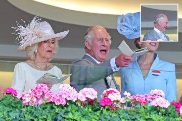 König Charles lacht mit dem Comedy-Star in Ascot, während er von der Tribüne aus jubelt