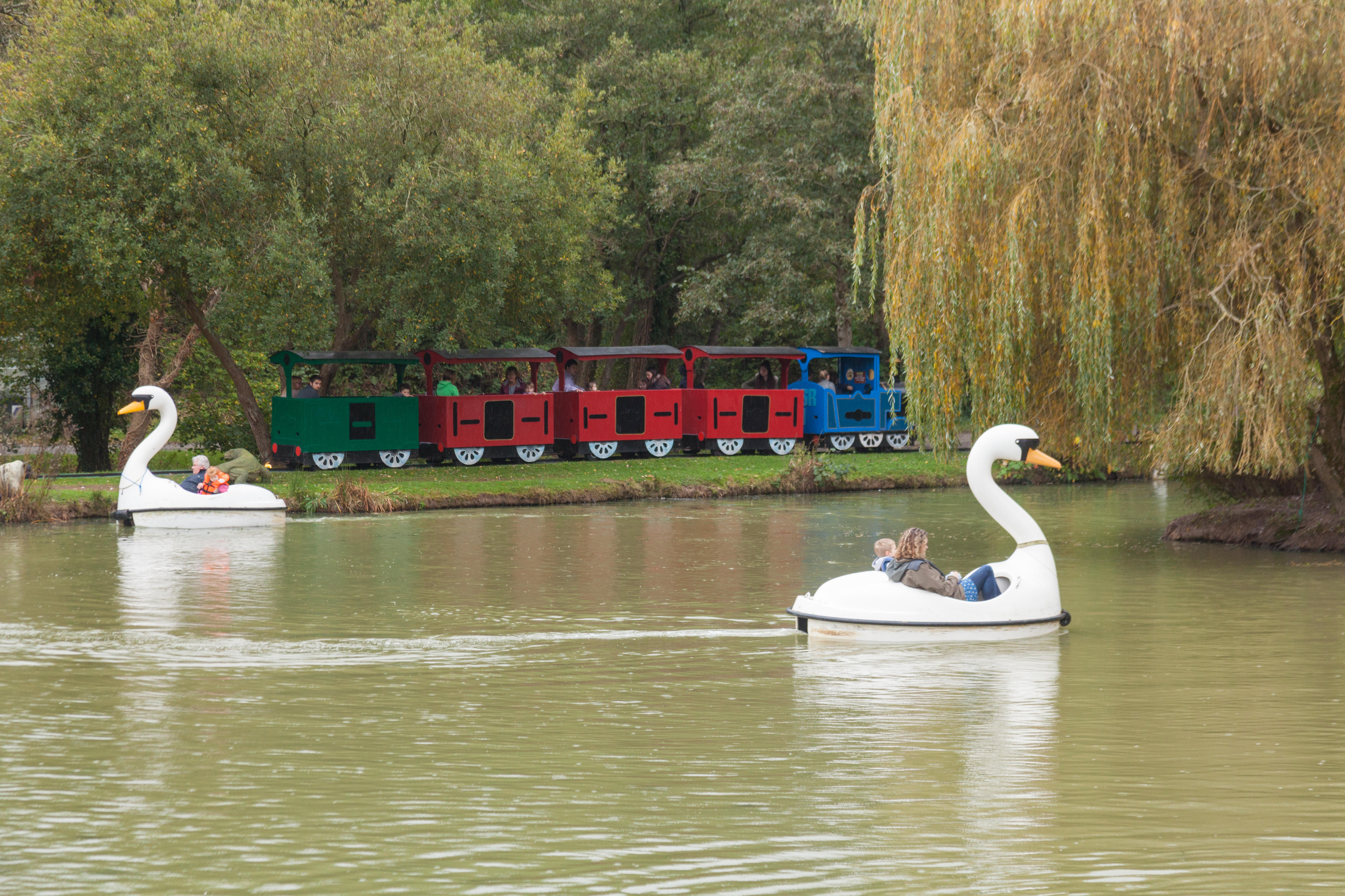 Am Schwanensee des Parks können Tretboote gemietet werden