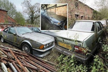 In einem verlassenen Herrenhaus verbirgt sich eine Schatzkammer voller Autos im Wert von 20 Millionen Pfund