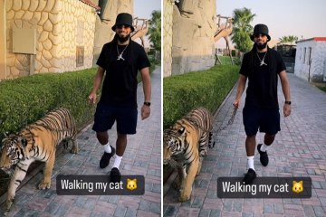 Der Flop von Man City birgt die Gefahr einer Tierrechtsverletzung, als er gefilmt wird, wie er mit seinem Haustier TIGER spazieren geht