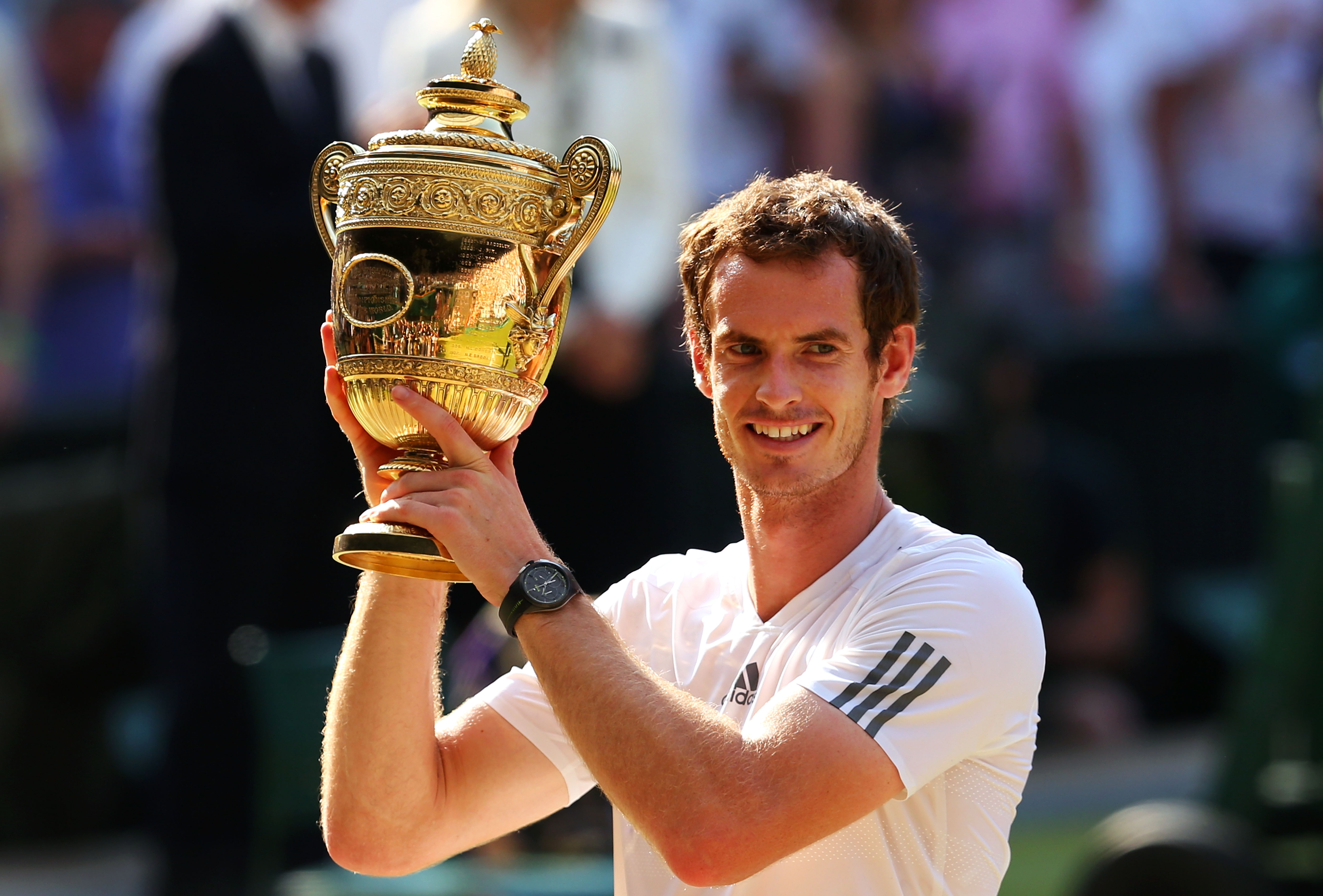 Murray gewann 2013 sein erstes Wimbledon
