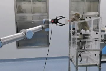 Wissenschaftler enthüllen einen Gehirnchip, mit dem Affen Roboter mit ihrem Verstand steuern können