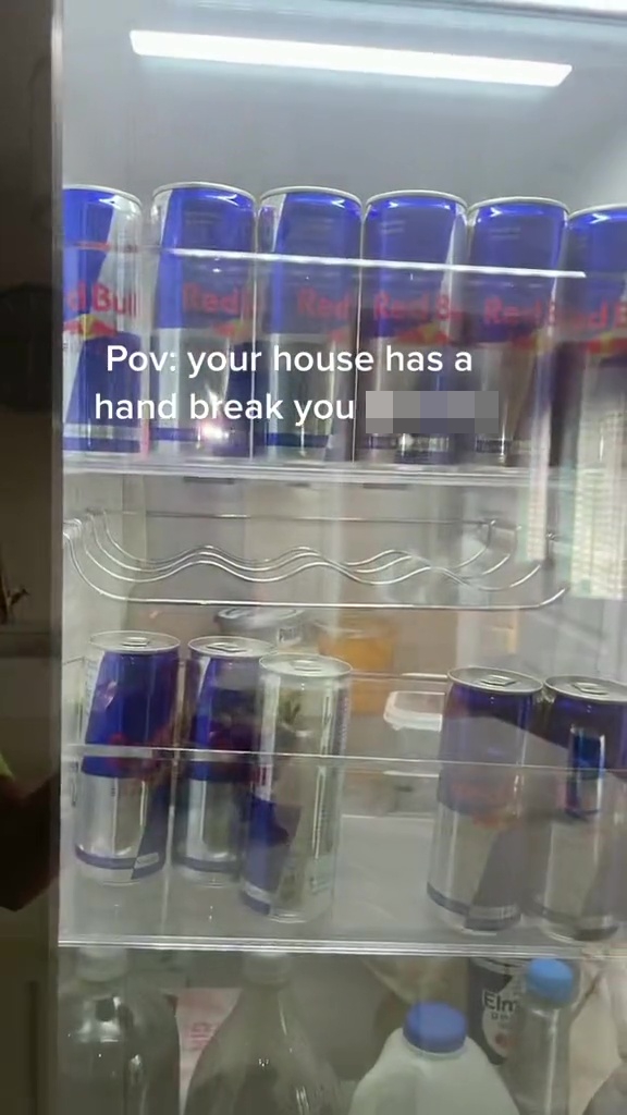 Die reisende Frau hatte sogar einen mit Red Bull gefüllten Kühlschrank