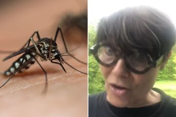 Ich bin Hygieneexpertin – so verhindere ich, dass Mücken stechen