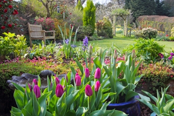 Wenig bekannte Regeln für Ihren eigenen Garten, die zu einer Geldstrafe von 12.000 £ führen können