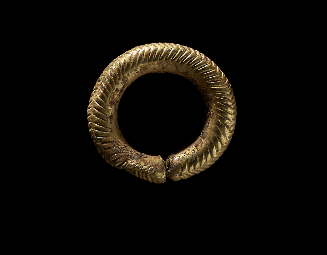 Zu den weiteren ausgegrabenen Gegenständen gehörte ein goldener Haarring, der Experten zufolge darauf hindeutet, dass sein Besitzer über ein hohes relatives Vermögen verfügte