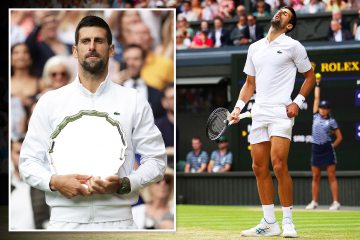 Novak Djokovic erhielt eine Rekordstrafe für eine Geste bei der Finalniederlage in Wimbledon