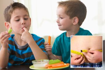 Ich bin Ernährungsexperte – sechs einfache Essenstipps, die Ihren Kindern helfen, Fettleibigkeit abzuwehren