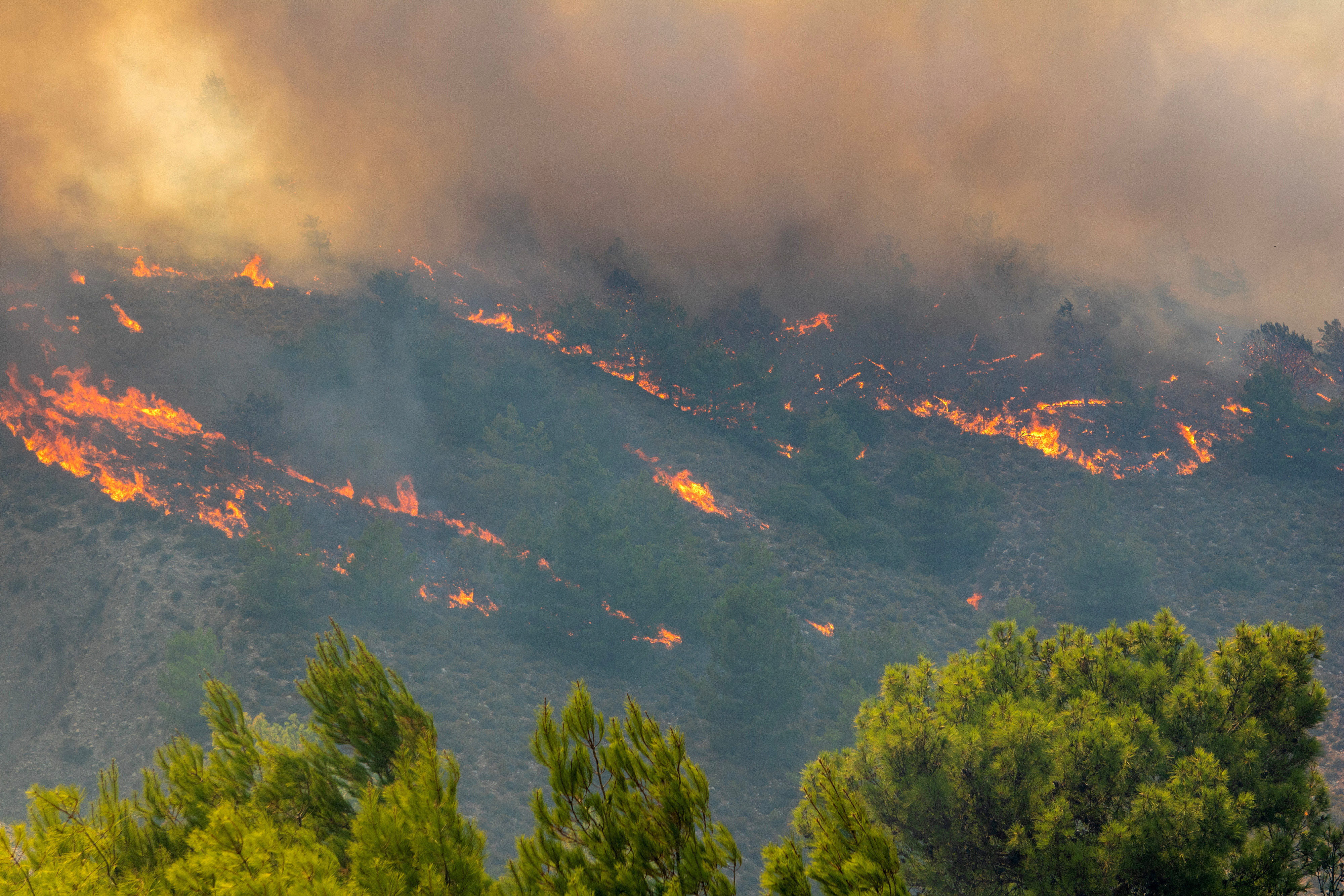 Nach sieben Tagen breiten sich die Waldbrände weiterhin auf Rhodos aus