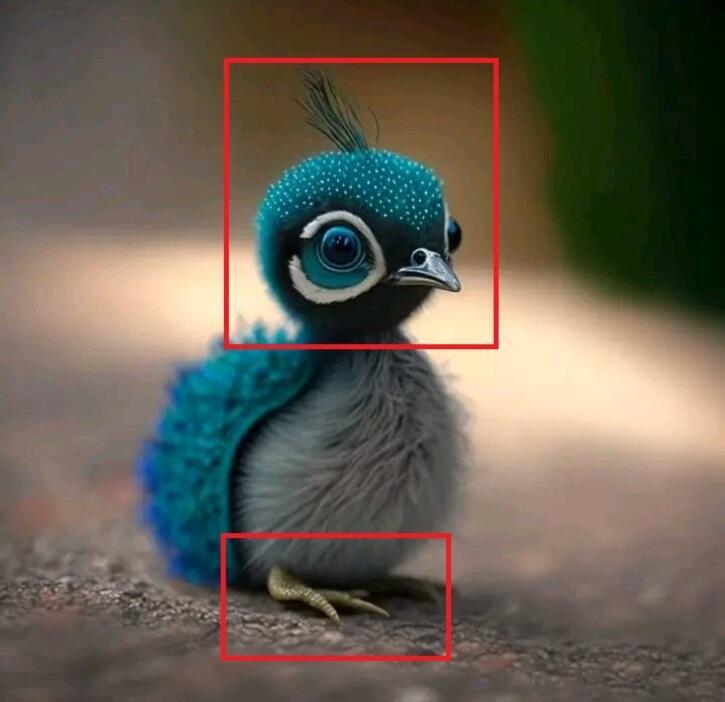 There are two points of focus in this image – the peacock’s head and its feet – while the rest of the image is blurry. A photograph can’t actually have two points of focus.