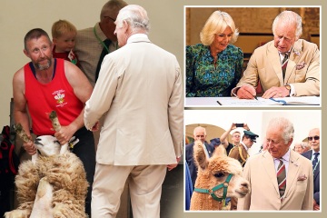 King Charles and Camilla make new alpaca pal while on trip to Wales