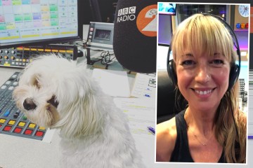BBC Radio 2 star Sara Cox's fury after bosses ban DJs from bringing dogs to work
