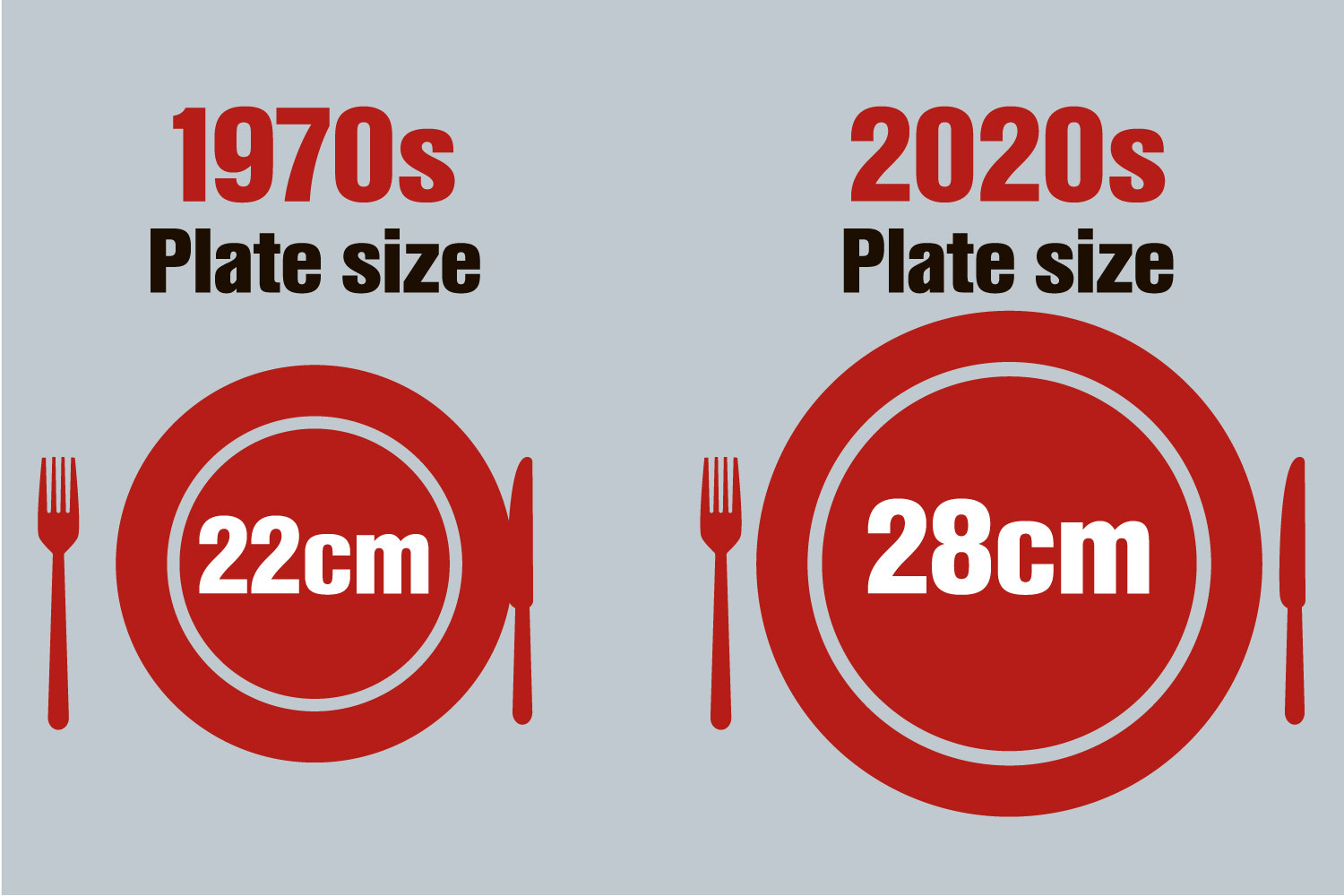 Sogar die tatsächlichen Größen unserer Teller sind jetzt viel größer