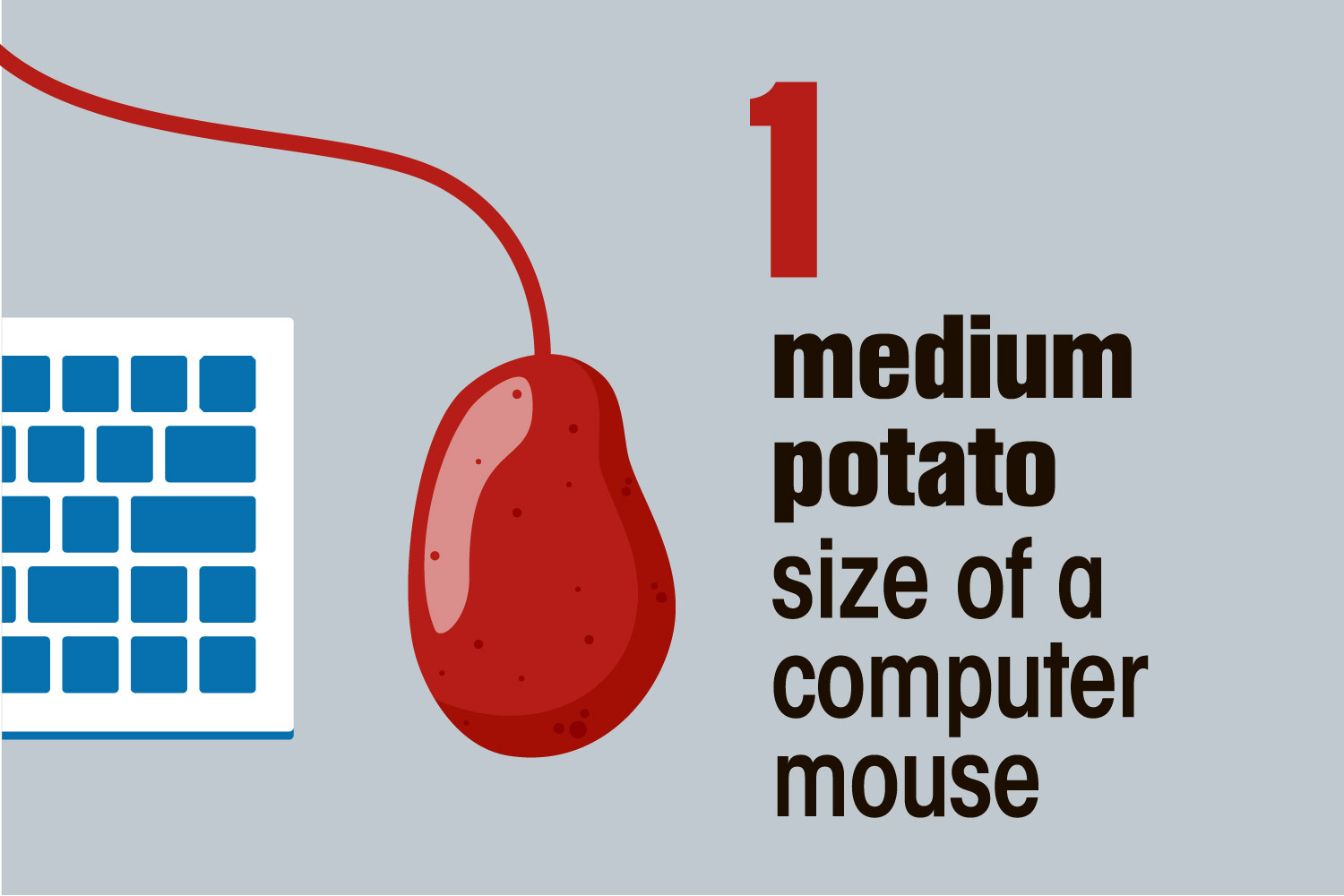 Sie sollten eine mittelgroße Kartoffel in der Größe einer Computermaus haben