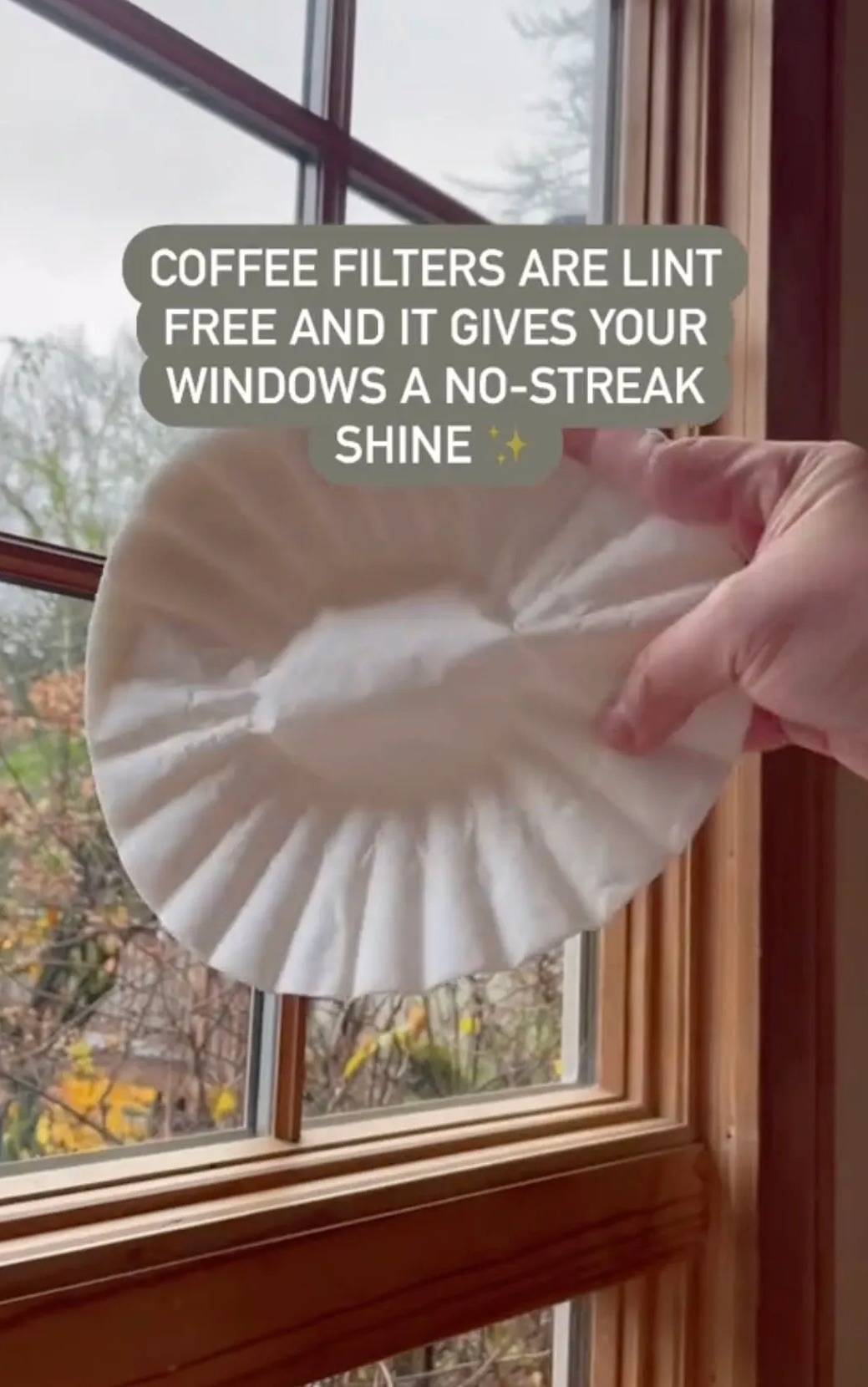 Kaffeefilter eignen sich hervorragend als Reinigungstücher zum Fensterputzen