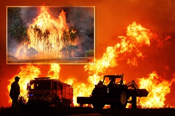 Hunderte Touristen fliehen aus Resorts, als in Portugal ein Waldbrand ausbricht