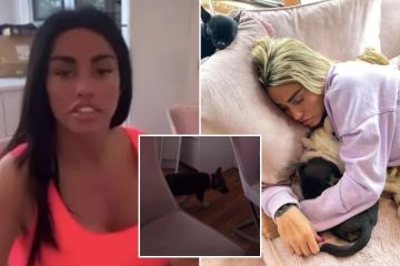 Katie Price reveals adorable new puppy after seven pets died in her care