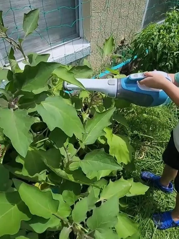 Die TikTokerin und ihr Sohn nutzten einen Handstaubsauger, um Insekten aus ihren Pflanzen zu entfernen