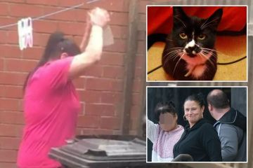Schockierter Moment: Sadistische Oma versucht, Kätzchen im Mülleimer des Nachbarn zu Tode zu schlagen
