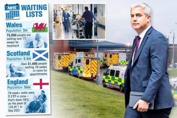 Verzweifelte Patienten, die in Wales und Schottland eine Behandlung benötigen, müssen nach ENGLAND überwiesen werden
