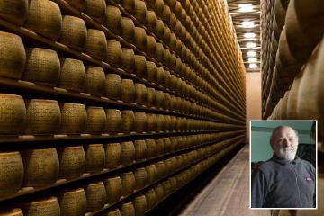 Molkereichef wurde in Fabrik unter 15.000 Käselaiben erdrückt aufgefunden
