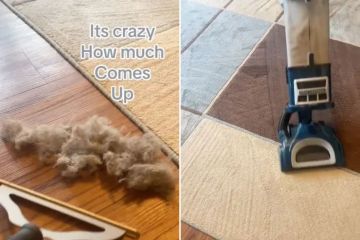 Ich bin ein Reinigungsfan – der beste Teppichreiniger von Amazon und besser als ein Staubsauger