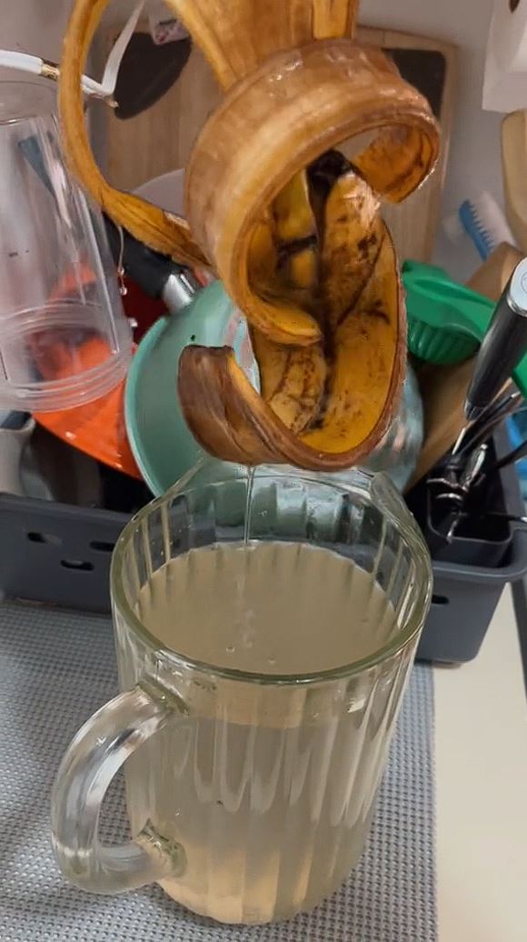 Sie hat eine Bananenschale über Nacht in Wasser eingeweicht, um das übrig gebliebene Kalium zu extrahieren