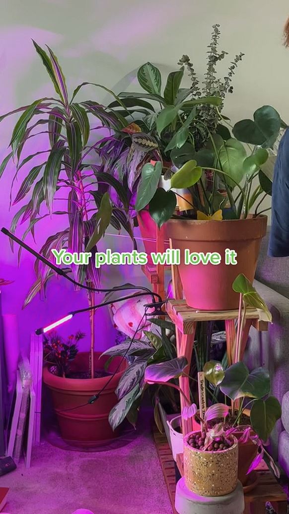 Sie goss ihre Pflanzen mit der Lösung
